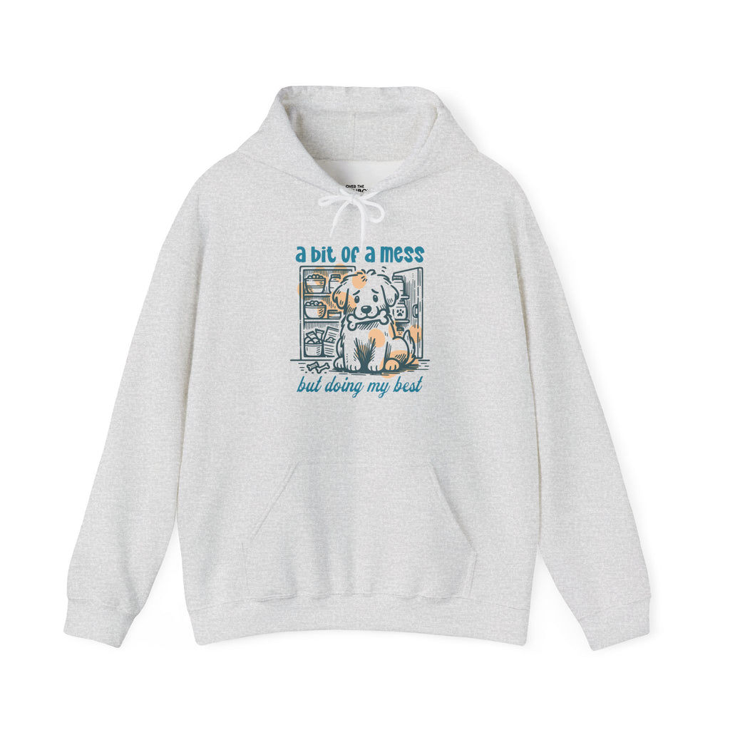 A bit of a mess Hoodie
