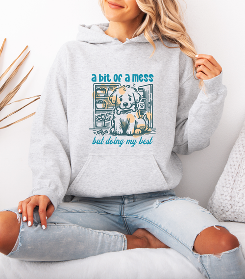 A bit of a mess Hoodie
